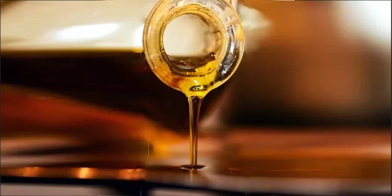 אדון השבת